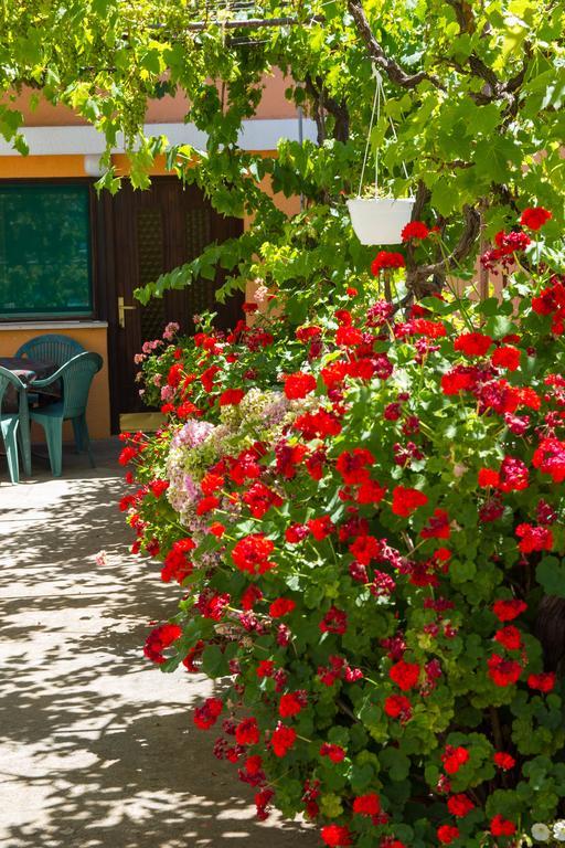 Apartments Stefanovski Paradiso Veli Lošinj Стая снимка
